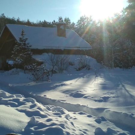 Modrzewiowa Chata Zaborze (Losice) Exterior foto