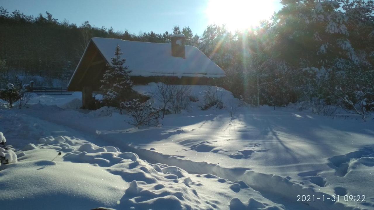 Modrzewiowa Chata Zaborze (Losice) Exterior foto